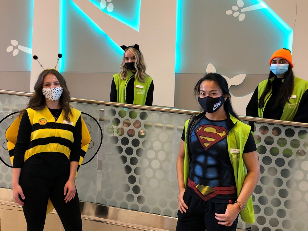 cw-volunteers-2020