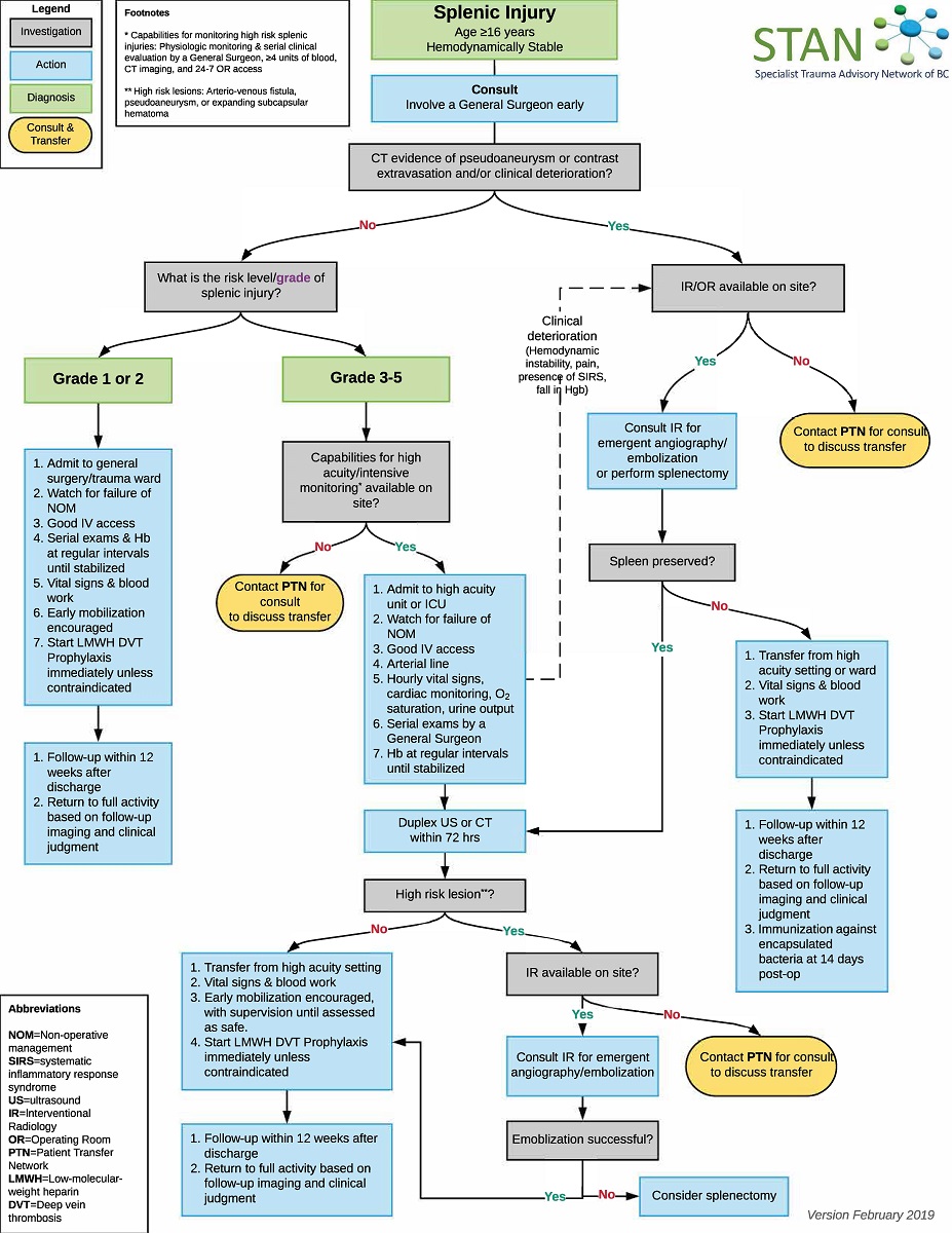 Spleen 01 Care pathway algorithm.jpg