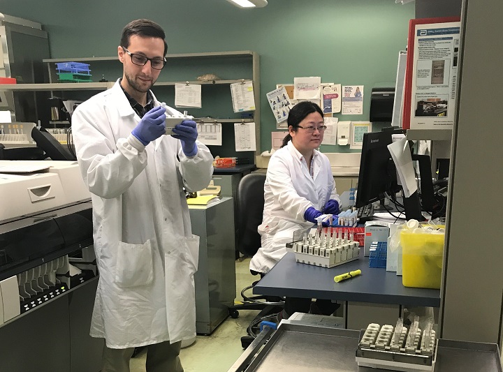 Lab technicians at work