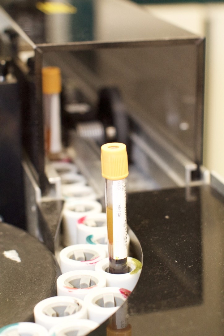 Lab technicians and test tubes in a laboratory