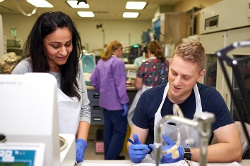 Two lab technicians at work