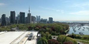Image-2_website.jpg